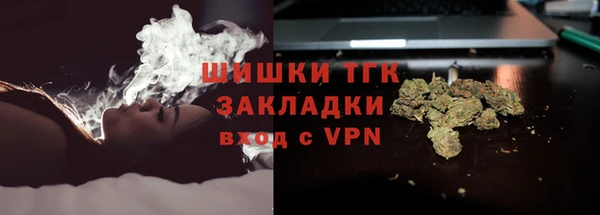 сатива Абинск