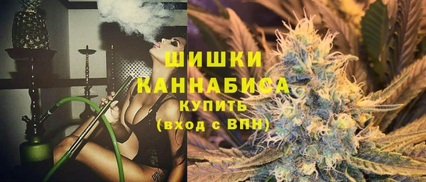 твердый Алзамай