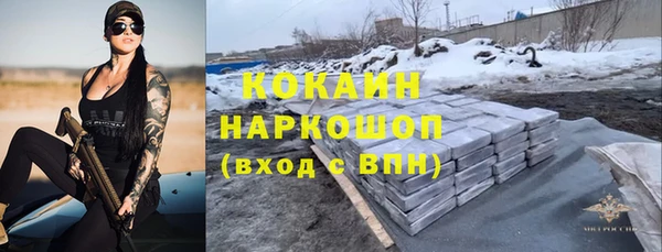 сатива Абинск