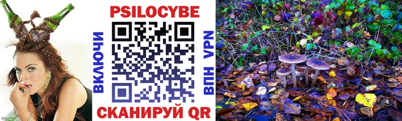 Галлюциногенные грибы Psilocybe  купить закладку  Яблоновский 