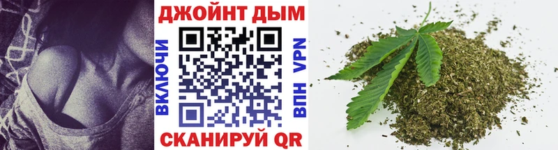 Конопля гибрид  Яблоновский 