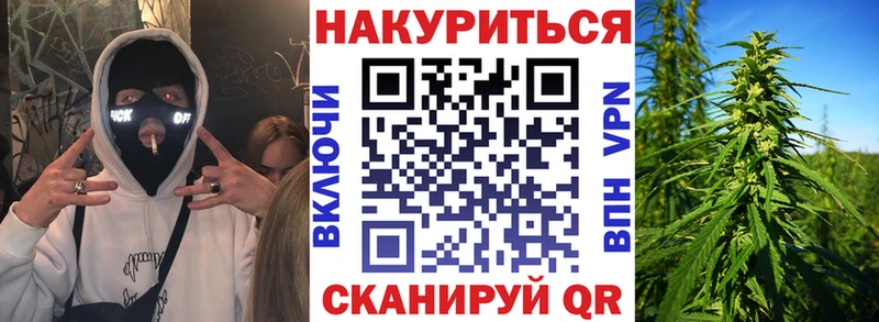 Конопля сатива Яблоновский